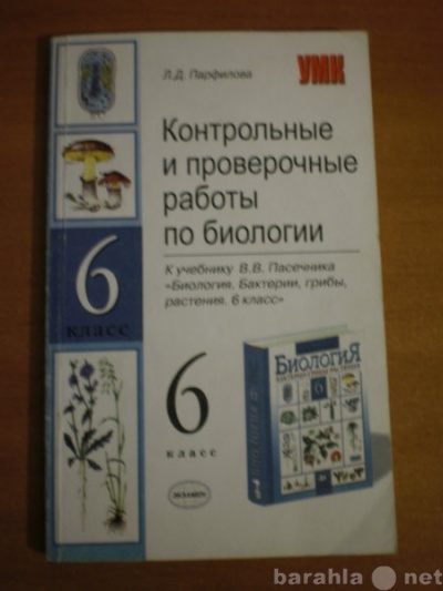 Повторение орфограмм 4 класс урок презентация